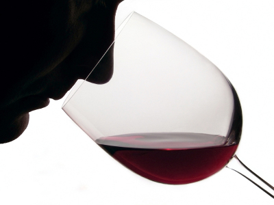A Beginners Guide to Tasting Wine